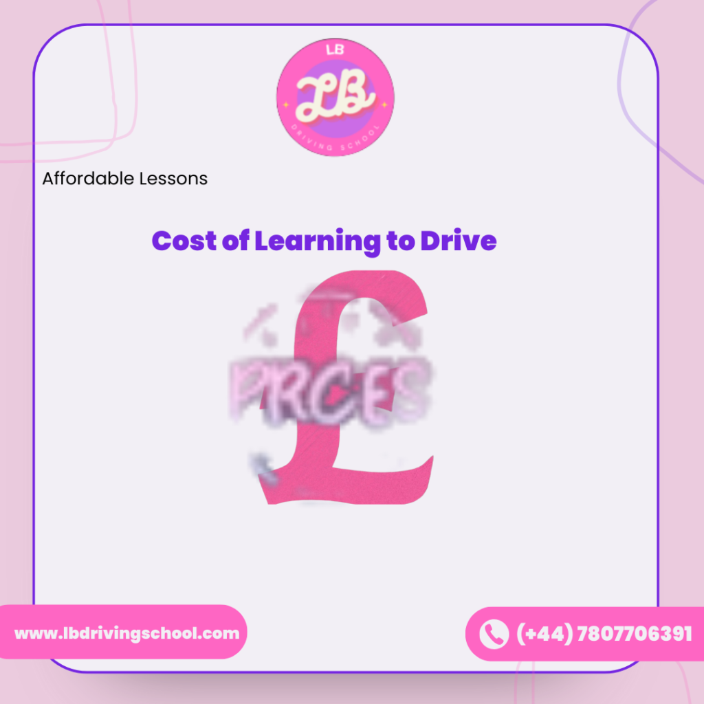 cost of Learning to Drive